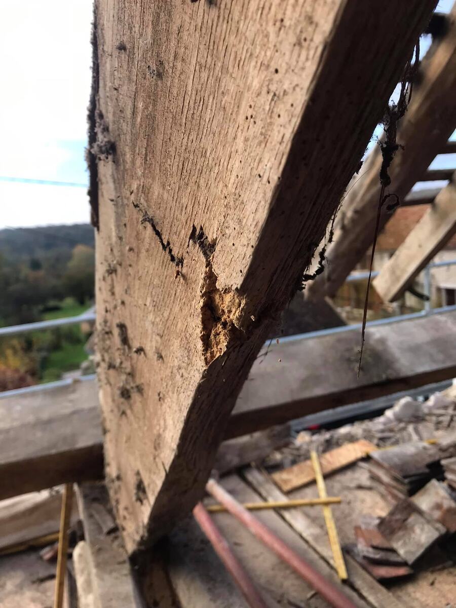 Chantier Société Réponse